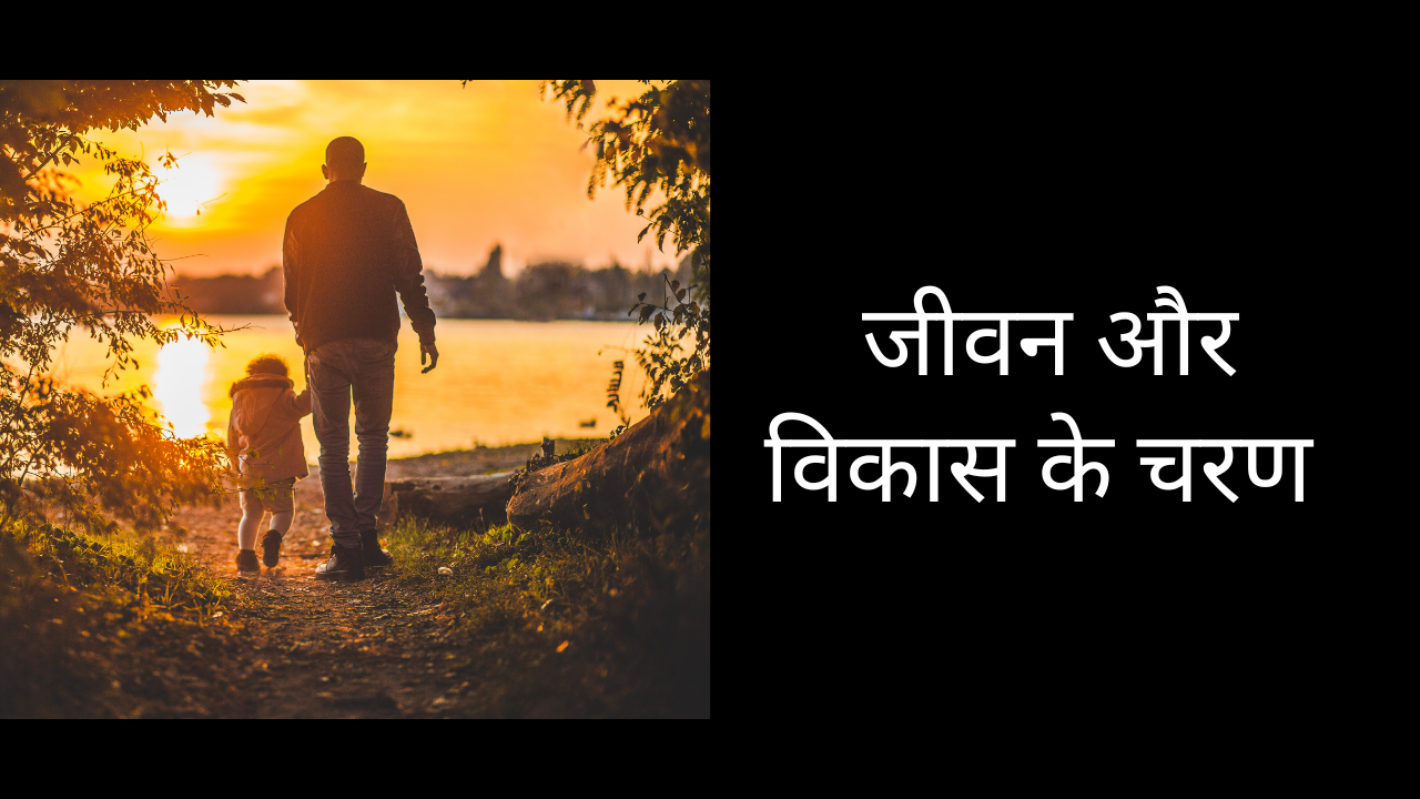 जीवन और विकास के चरण